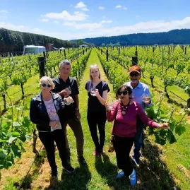 Group of people walking through vineyard with wine glasses in Martinborough