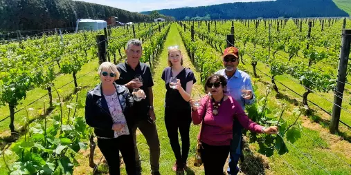Group of people walking through vineyard with wine glasses in Martinborough