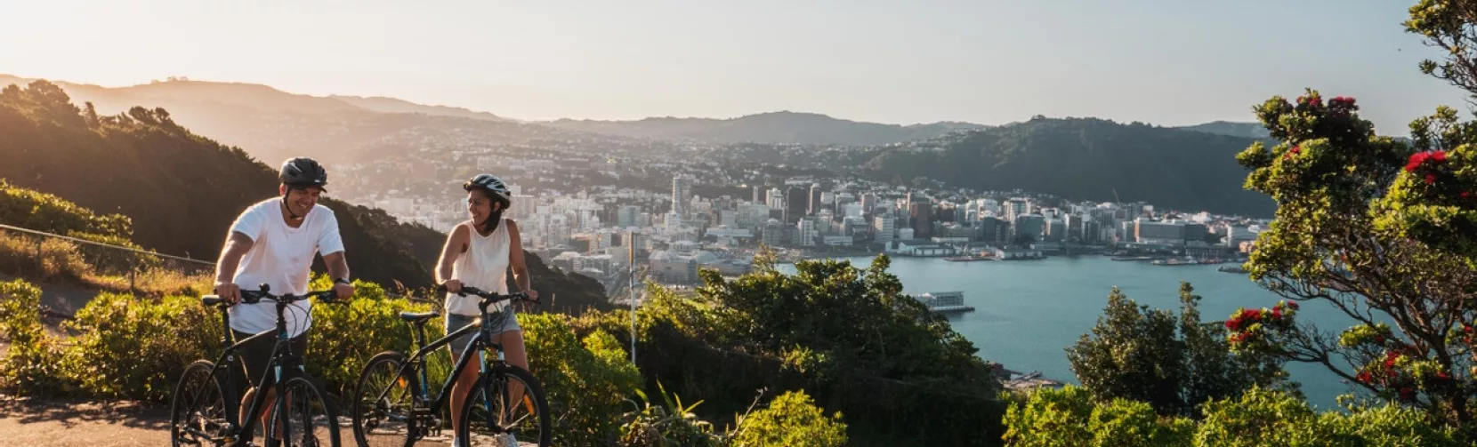 Two cyclists at Mt Victoria Lookout with Wellington city and harbour in the background
