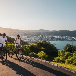 Two cyclists at Mt Victoria Lookout with Wellington city and harbour in the background