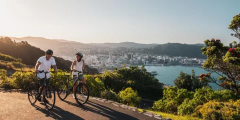 Two cyclists at Mt Victoria Lookout with Wellington city and harbour in the background