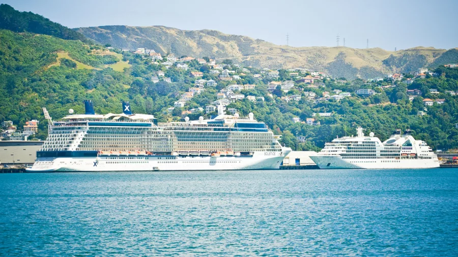 Cruise ships docked at Wellington Harbour with hillside houses and Queens Wharf in the background