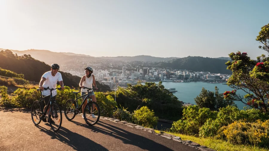 Two cyclists at Mt Victoria Lookout with Wellington city and harbour in the background