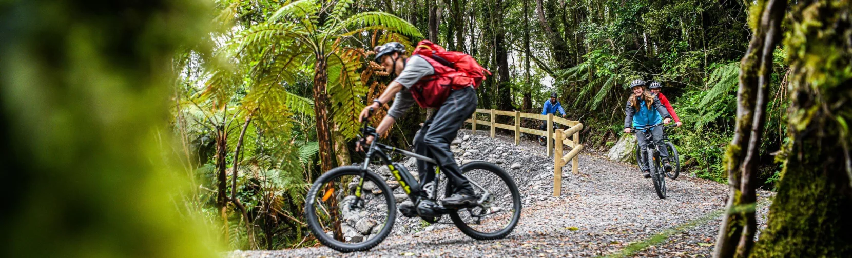 Riders on an e-bike tour cruise through a lush rainforest trail near Fox Glacier.