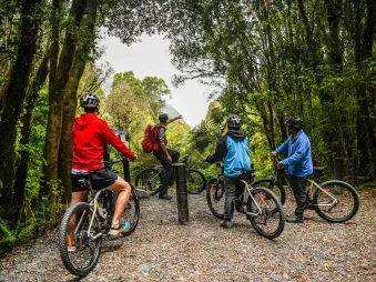 E-bike riders pause on a gravel trail in native bush during a guided Fox Glacier tour.