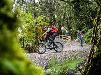 Riders on an e-bike tour cruise through a lush rainforest trail near Fox Glacier.