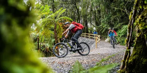 Riders on an e-bike tour cruise through a lush rainforest trail near Fox Glacier.