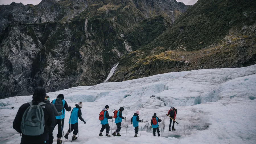 Guided group hike across the icy surface of Fox Glacier on the West Coast