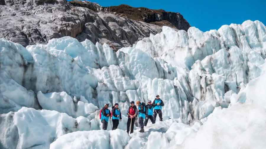 Hikers explore a dramatic ice wall on Fox Glacier during a heli hike.