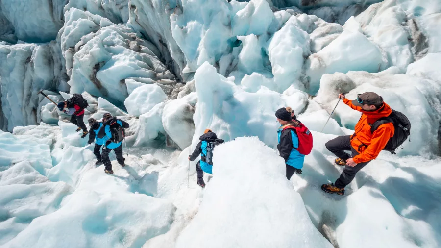 A group descends a steep icy slope with guides on Fox Glacier.