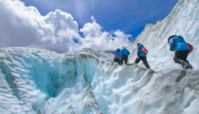 Group climbing the ice walls of Franz Josef Glacier with crampons and guides