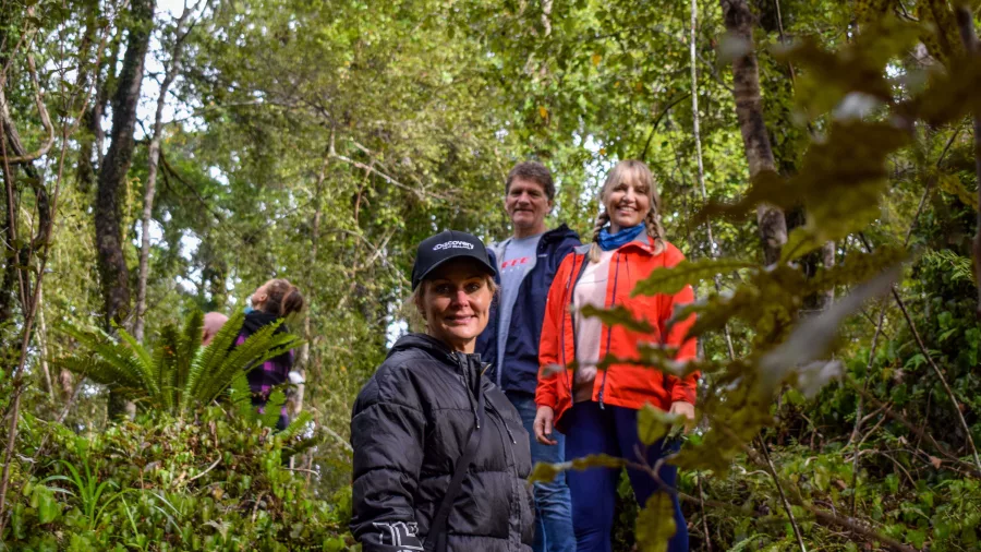 Group enjoying a guided walk through lush West Coast rainforest in New Zealand