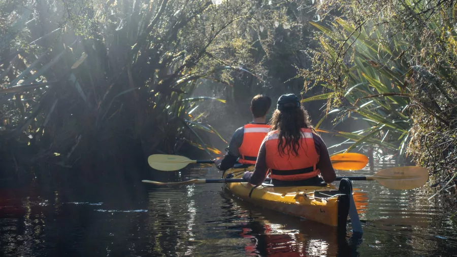 Couple paddling through a misty forest water trail in Franz Josef on a yellow kayak