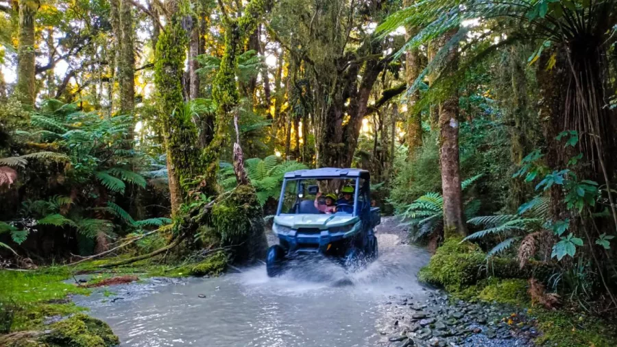 Off road buggy driving through forest creek in Franz Josef