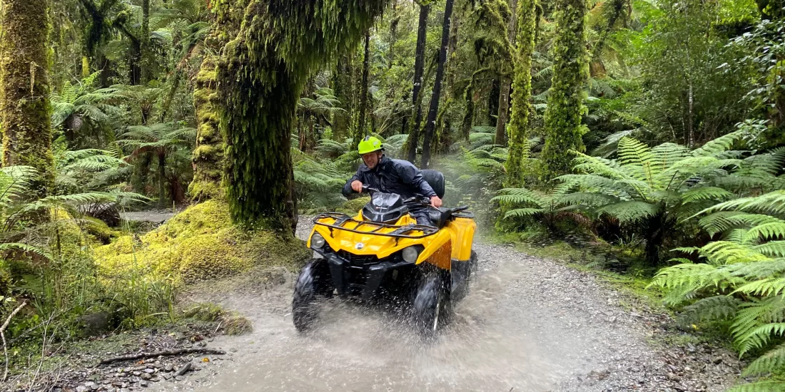 Quad bike rider navigating a rainforest trail surrounded by ferns in Franz Josef, New Zealand