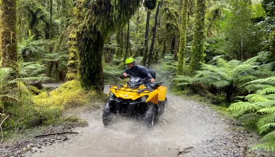 Quad bike rider navigating a rainforest trail surrounded by ferns in Franz Josef, New Zealand