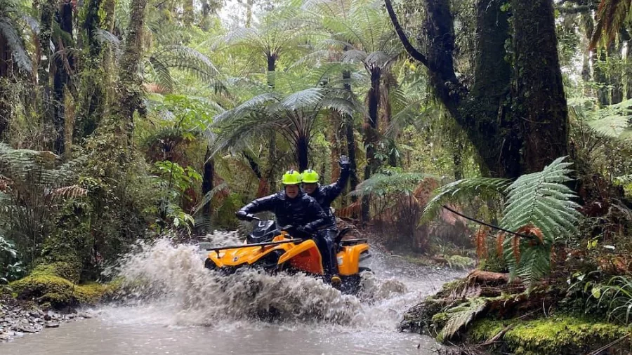 Two riders on a yellow quad bike speeding through a muddy forest track surrounded by dense ferns in Franz Josef