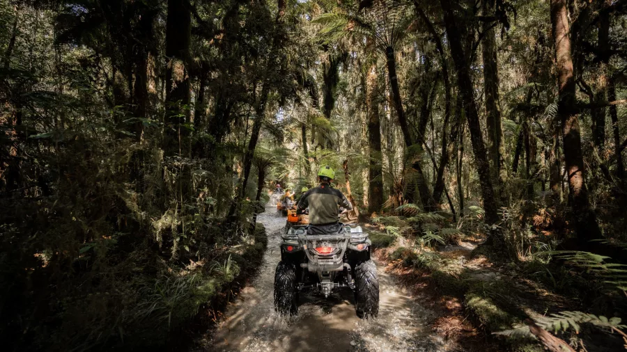 Group of quad bikers riding through a muddy forest track near Franz Josef