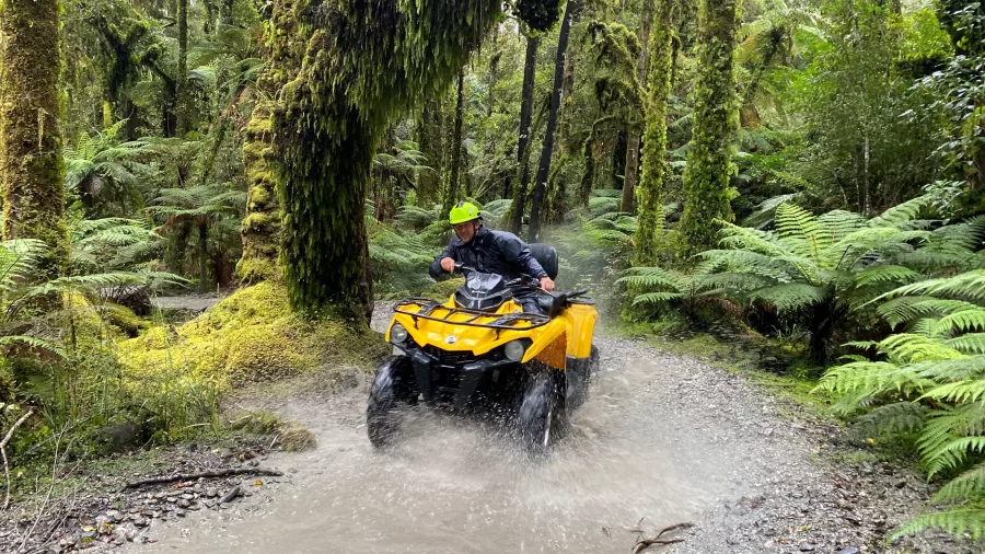 Quad bike rider navigating a rainforest trail surrounded by ferns in Franz Josef, New Zealand