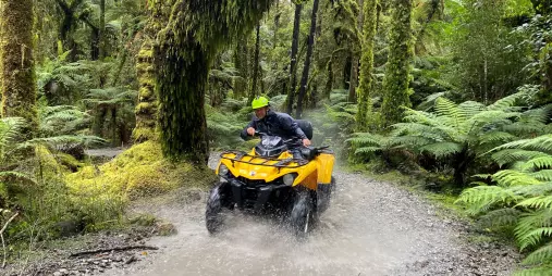 Quad bike rider navigating a rainforest trail surrounded by ferns in Franz Josef, New Zealand