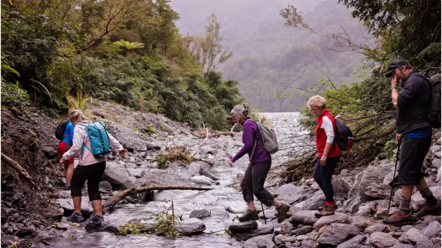Group of hikers carefully crossing a glacier-fed stream on the West Coast of New Zealand