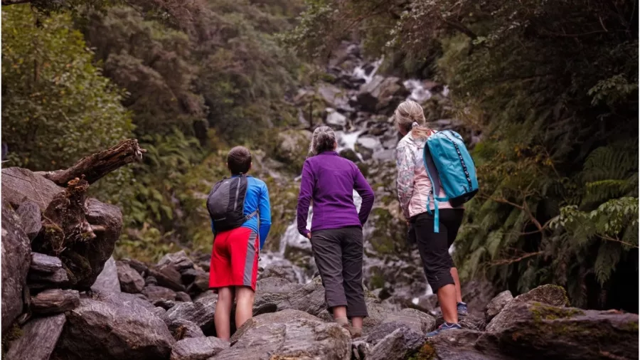 Three walkers looking up at a cascading waterfall in Franz Josef forest