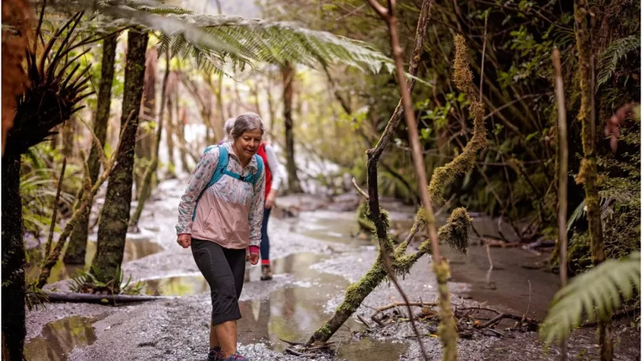 Woman hiking through muddy rainforest trail in Franz Josef