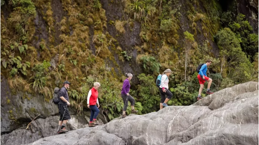 Group of hikers walking across smooth grey rock at Franz Josef