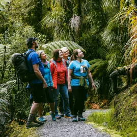 Guided rainforest walk with Glacier Valley Eco Tours in Franz Josef, New Zealand
