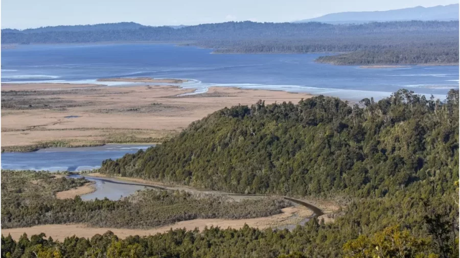 View of Okarito Lagoon and surrounding wetlands on the West Coast of New Zealand