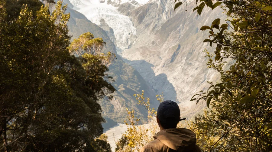 Hiker views Franz Josef Glacier through native forest on the Alex Knob Track