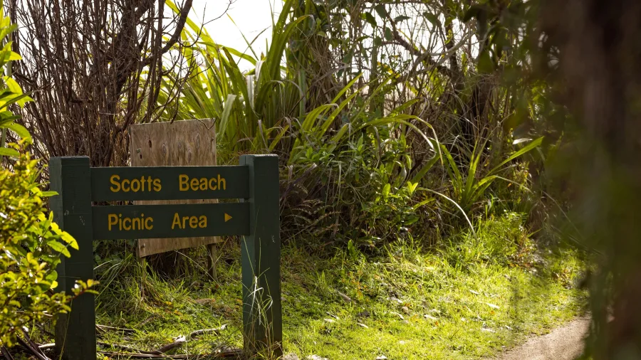 Wooden trail sign pointing to Scotts Beach picnic area on the Heaphy Track, West Coast New Zealand
