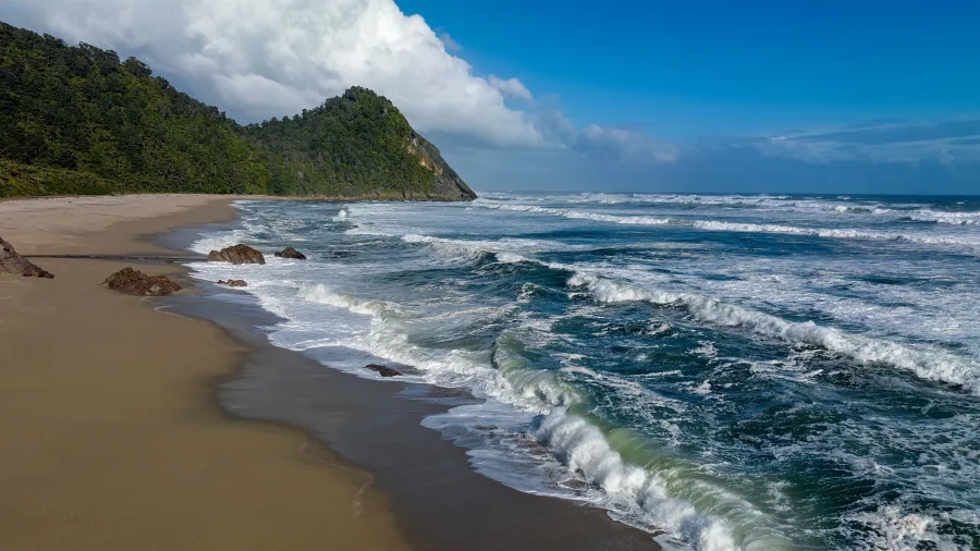 Scotts Beach on the Heaphy Track with coastal forest and waves along the West Coast of New Zealand