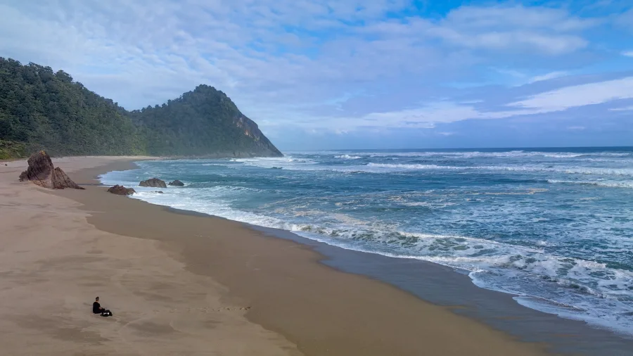 Person sitting on the sand at Scotts Beach with waves crashing and forested cliffs in the background.