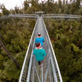 Two people walking across the Hokitika Treetop Walk high above the West Coast rainforest