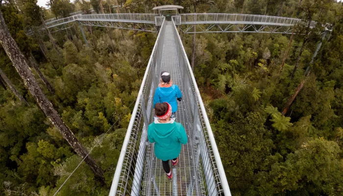 Two people walking across the Hokitika Treetop Walk high above the West Coast rainforest