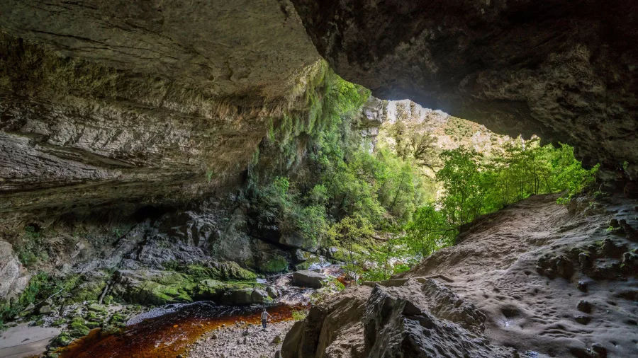 View from inside the Ōpārara Arches looking out toward lush native forest in Karamea
