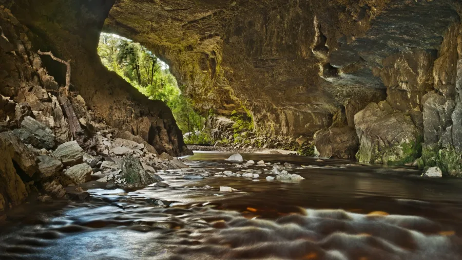 Light-filled curved rock interior of Oparara Arch, West Coast