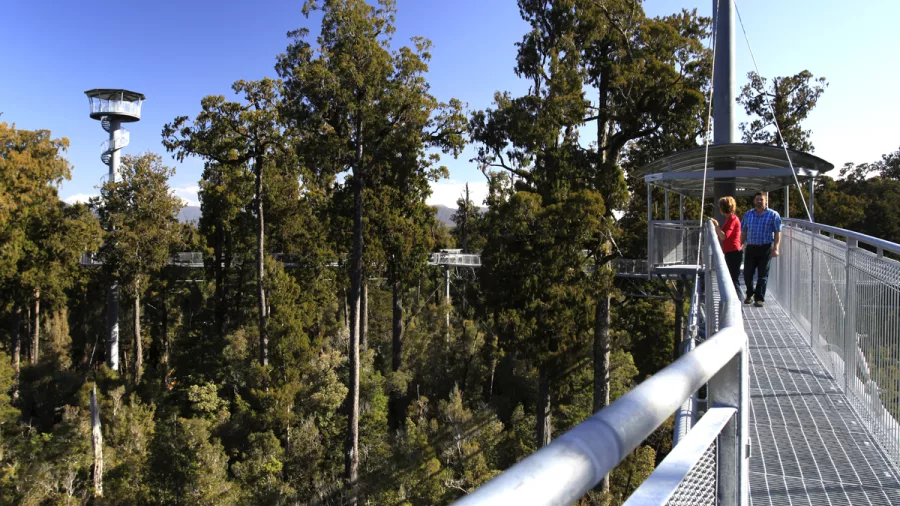 Visitors walking along the Tree Top Walkway in Hokitika, surrounded by native forest canopy