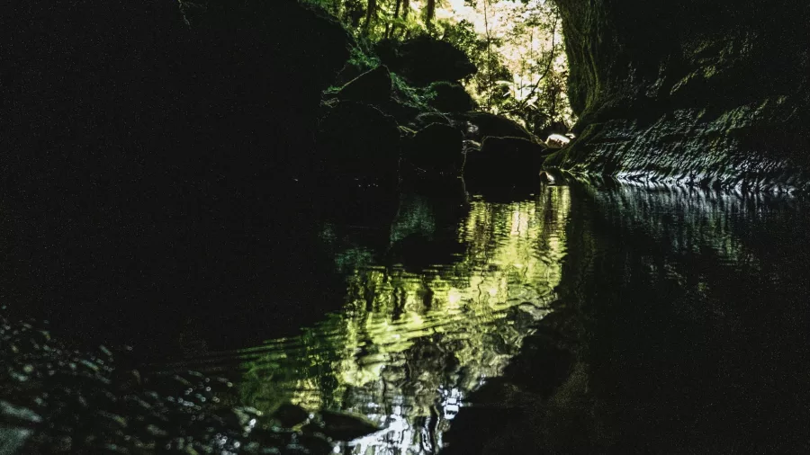 Reflections of lush forest light shimmer at the cave entrance on the Glow Worm Cave Tour with Underworld Adventures in Charleston, New Zealand