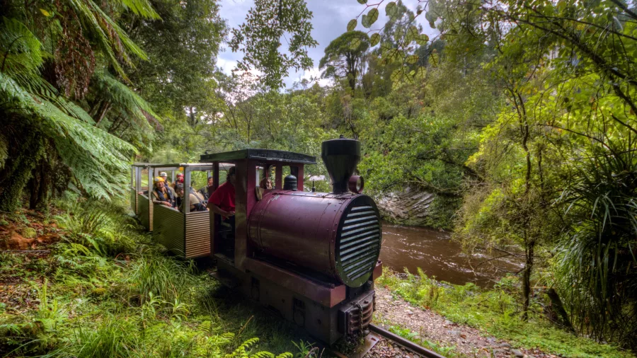 Scenic rainforest train ride to glowworm cave on Underworld Adventures tour in Charleston, New Zealand