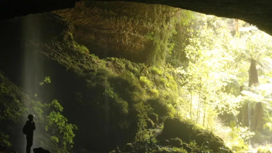 Main cave entrance at Underworld Adventures Glow Worm Cave Tours in Charleston, New Zealand