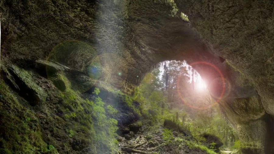 Sunlight streaming through the cave entrance at Underworld Adventures in Charleston, West Coast New Zealand