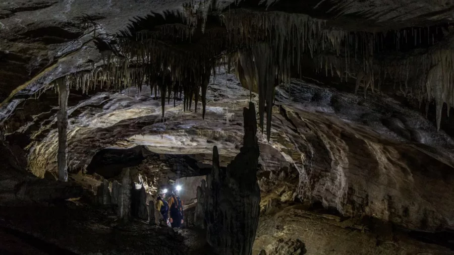 Guided tour group exploring limestone formations inside a cave on the Underworld Rafting experience in Charleston, New Zealand