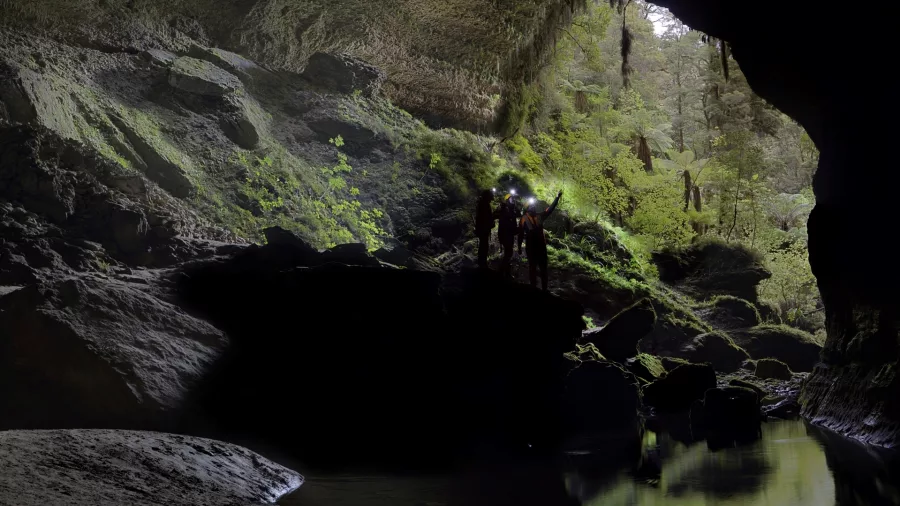 Group of cavers silhouetted at a lush cave exit in Charleston with Underworld Adventures