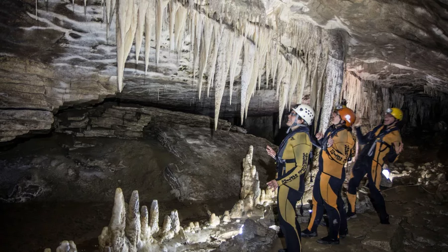 Visitors in wetsuits admire stalactites inside a Charleston cave with Underworld Adventures