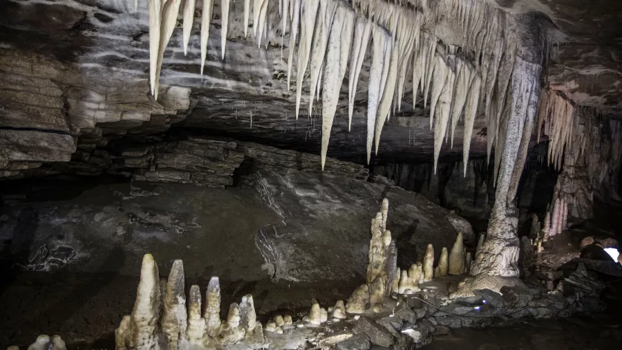 Stalactites and stalagmites inside a cave at Underworld Adventures Charleston