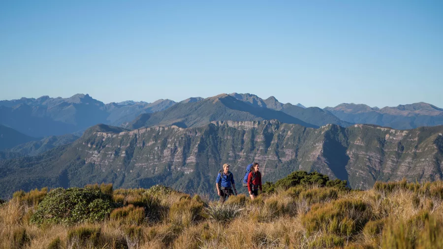 Two hikers walking along alpine tussock on the Paparoa Track with layered mountain ridges in the background