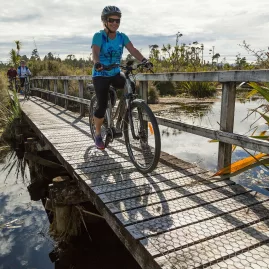 Cyclists crossing the Mahinapua Creek boardwalk on the West Coast Wilderness Trail