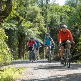 Cyclists riding through lush native bush at Paroa on the West Coast Wilderness Trail